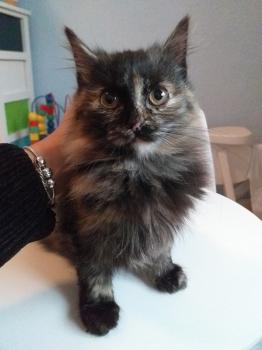 Hanna Bild von Hanna