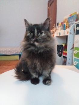 Hanna Bild von Hanna