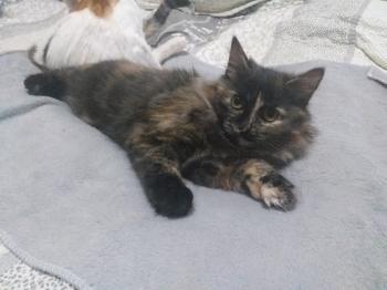 Hanna Bild von Hanna
