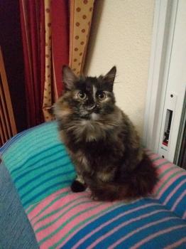 Hanna Bild von Hanna