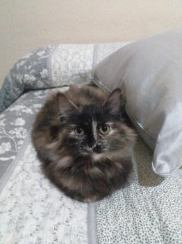 Hanna Bild von Hanna