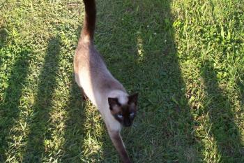 Sunny Bild von Sunny