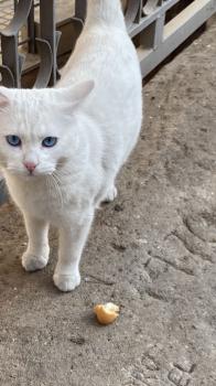 Casper Bild von Casper