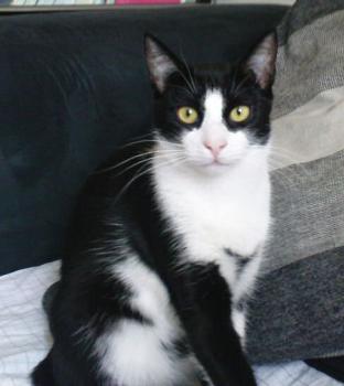 Bibo Bild von Bibo