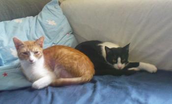 Bibo und Genoveva Bild von Bibo