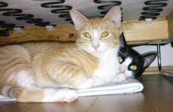 Genoveva und Bibo Bild von Genoveva