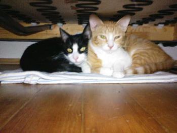 Genoveva und Bibo Bild von Genoveva