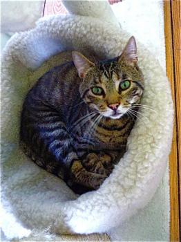Patxi Bild von Patxi