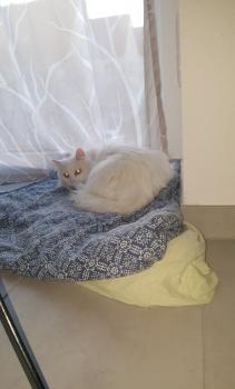 Paty Bild von Paty