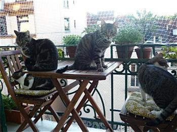 Patxi Bild von Patxi