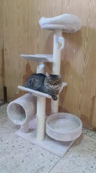 Chiquitin Bild von Chiquitin