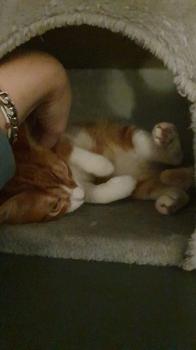 Enzo Bild von Enzo