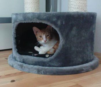 Genoveva Bild von Genoveva
