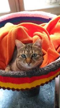 Bimba Bild von Bimba