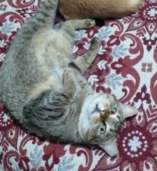 Bimba Bild von Bimba