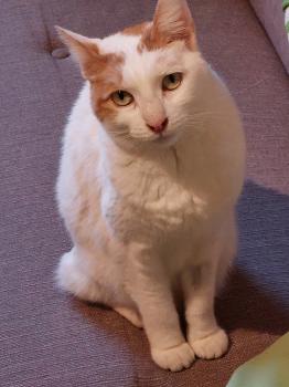 Leela Bild von Leela