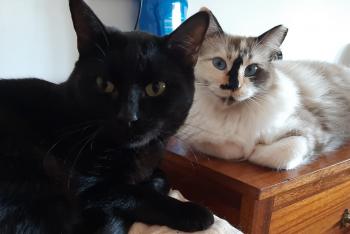 Bimba Bild von Bimba