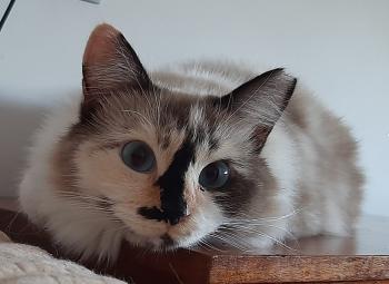 Bimba Bild von Bimba