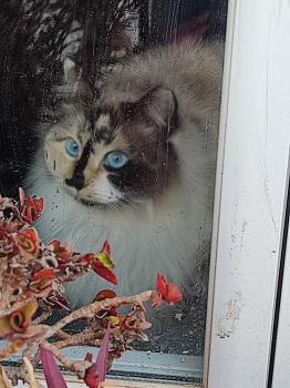 Bimba Bild von Bimba