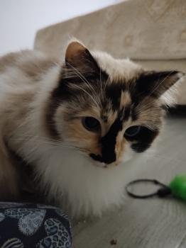 Bimba Bild von Bimba