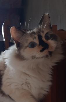 Bimba Bild von Bimba