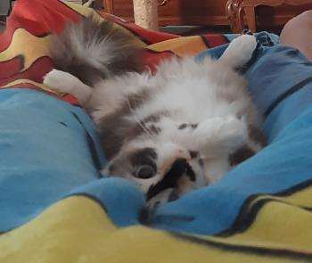 Bimba Bild von Bimba