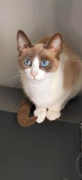 Linda Bild von Linda