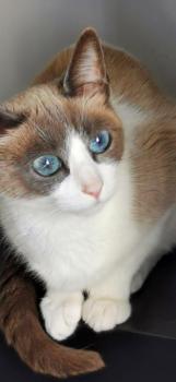 Linda Bild von Linda