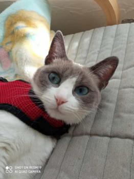 Linda Bild von Linda