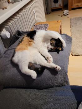 Mina Bild von Mina