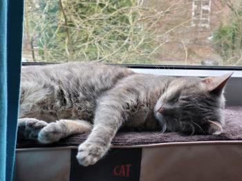 Nyasha Bild von Nyasha