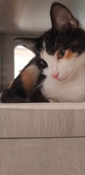 Lia Bild von Lia