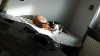 Fritz Bild von Fritz