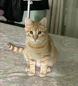Nala Bild von Nala