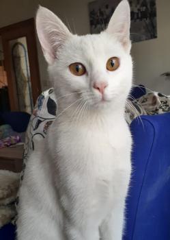 Blanqui Bild von Blanqui