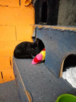Tabu Bild von Tabu
