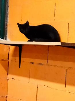 Tabu Bild von Tabu