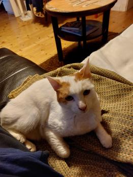 Leela Bild von Leela