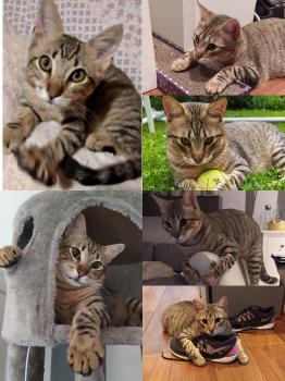 Hades Bild von Hades