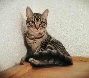 Ray Bild von Ray