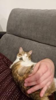 Jessi Bild von Jessi