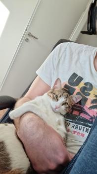 Jessi Bild von Jessi