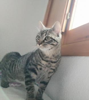 Ray Bild von Ray