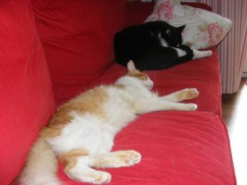 Lotfy Bild von Lotfy