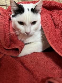 Kika Bild von Kika