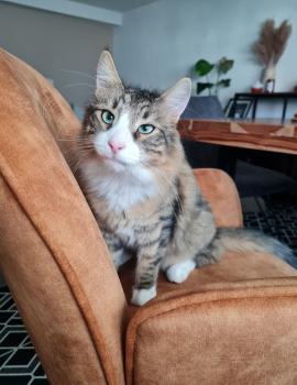 Thor Bild von Thor