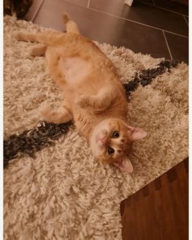Lena Bild von Lena