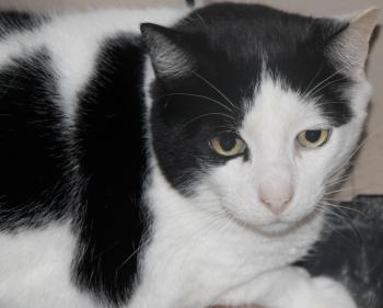 Baxter Bild von Baxter