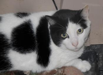 Baxter Bild von Baxter