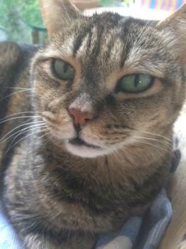 Dalila Bild von Dalila